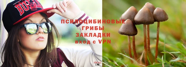 ГАЛЛЮЦИНОГЕННЫЕ ГРИБЫ Новодвинск