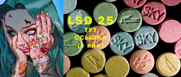 стаф Новозыбков