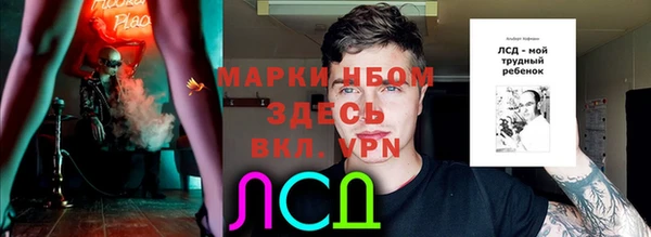 spice Няндома
