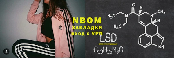 стаф Новозыбков