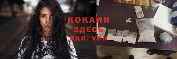 стаф Новозыбков