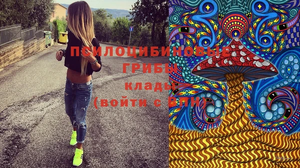 ГАЛЛЮЦИНОГЕННЫЕ ГРИБЫ Новодвинск