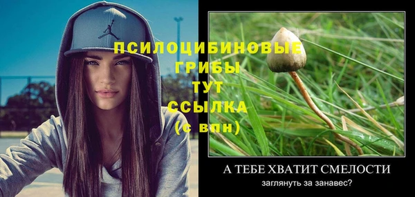 круглые Нягань
