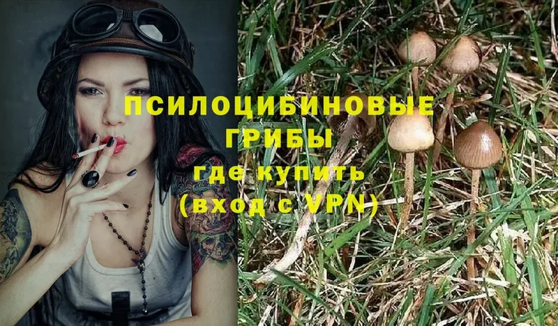 Галлюциногенные грибы Cubensis  Киренск 